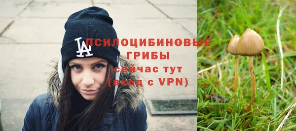 MDMA Premium VHQ Богородицк