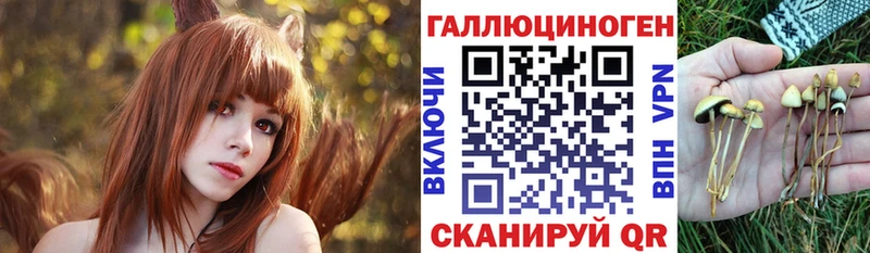 Галлюциногенные грибы Magic Shrooms  цены наркотик  Кировград 